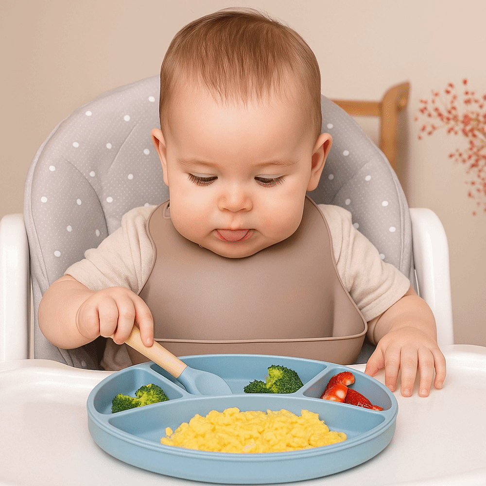 Prato dividido de silicone ant - Plate Suction Toddler avaliação e preço